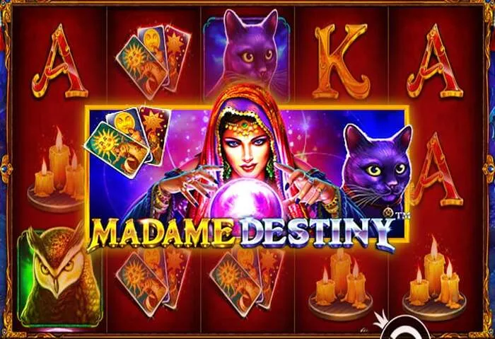 Live-Dealer-Tisch im Ari888 Casino für ein authentisches Spielerlebnis.
