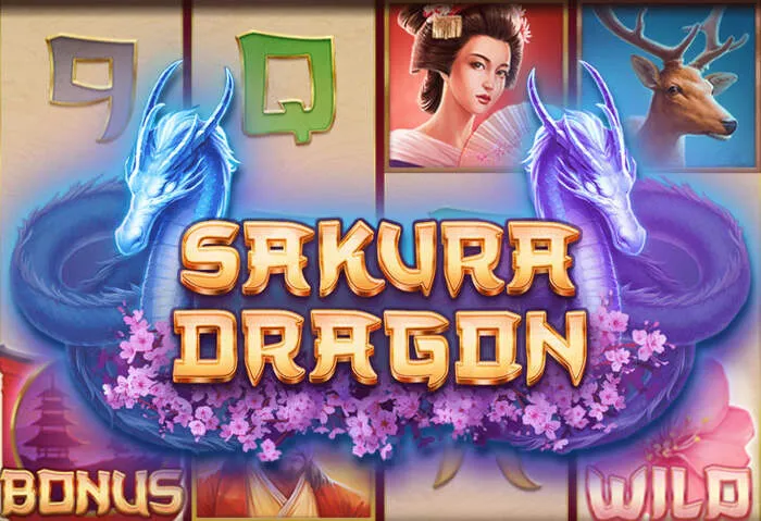 Bannières des bonus et promotions exclusifs offerts par Ari888 Casino à ses joueurs.